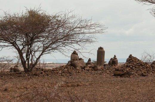 Fiebig Turkana-3226