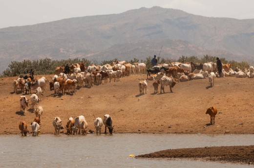 Fiebig Turkana-6158