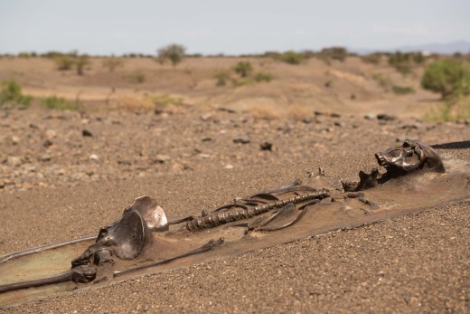 Fiebig Turkana-8554