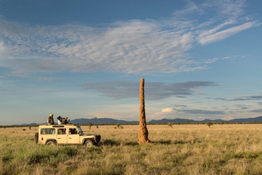 Fiebig Turkana-3085