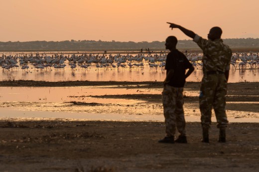 Fiebig Turkana-6716